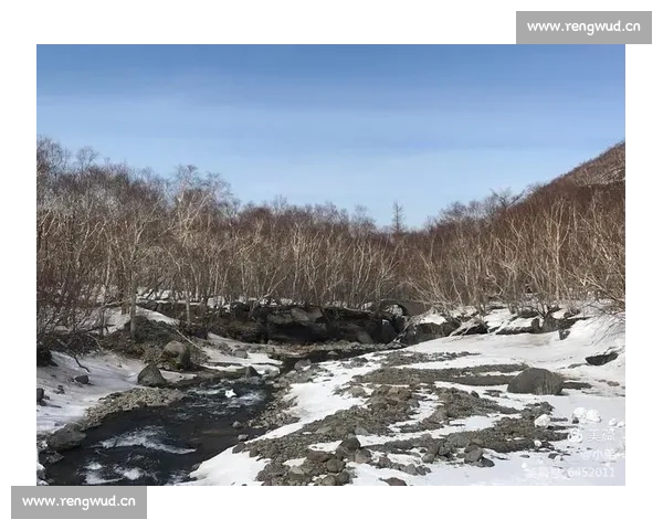 无插件直播技术突破与应用发展趋势探索 - 副本 (2) - 副本
